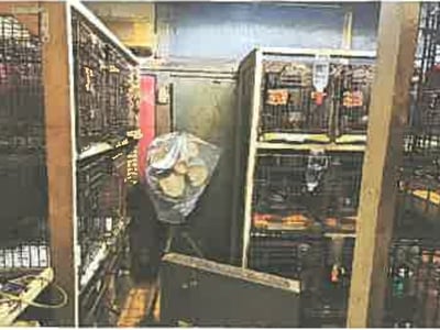 埼玉県所沢市 狭山ヶ丘駅11分 戸建て 429万円の競売物件情報 #4