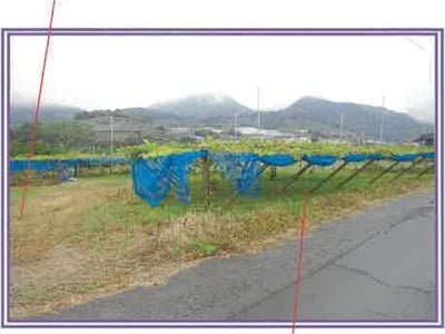 山梨県笛吹市 春日居町駅9分 農地 55万円の競売物件情報 #5