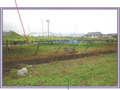 山梨県笛吹市 春日居町駅9分 農地 55万円の競売物件情報 #7