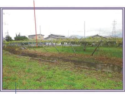 山梨県笛吹市 春日居町駅9分 農地 55万円の競売物件情報 #8