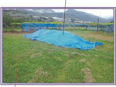 山梨県笛吹市 春日居町駅9分 農地 55万円の競売物件情報 #9