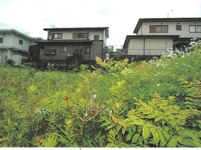 岐阜県関市 関口駅 土地 146万円の競売物件情報 #3