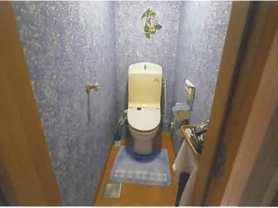 青森県南津軽郡藤崎町 藤崎駅5分 戸建て 346万円の競売物件情報 #12