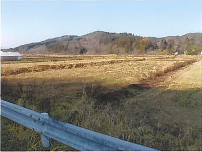 青森県三戸郡五戸町 農地 87万円の競売物件情報 #1