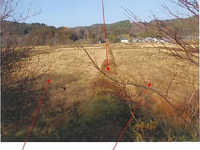 青森県三戸郡五戸町 農地 87万円の競売物件情報 #2