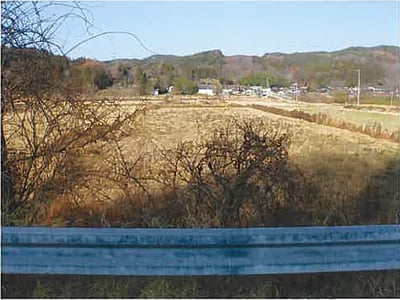 青森県三戸郡五戸町 農地 87万円の競売物件情報 #3