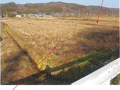 青森県三戸郡五戸町 農地 87万円の競売物件情報 #4