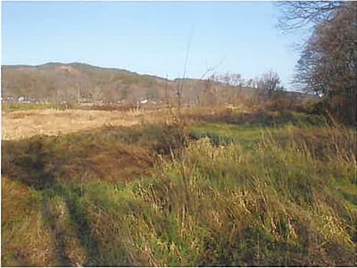 青森県三戸郡五戸町 農地 70万円の競売物件情報 #1