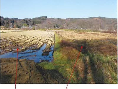 青森県三戸郡五戸町 農地 70万円の競売物件情報 #2