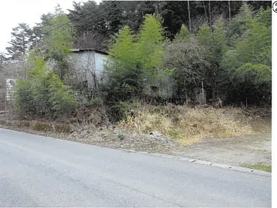 群馬県利根郡みなかみ町 上牧駅 戸建て 196万円の競売物件情報 #2