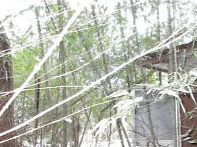 群馬県利根郡みなかみ町 上牧駅 戸建て 196万円の競売物件情報 #4