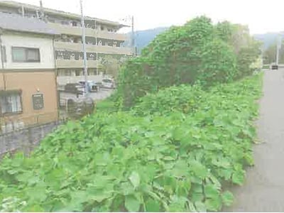 神奈川県南足柄市 大雄山駅6分 農地 635万円の競売物件情報 #2