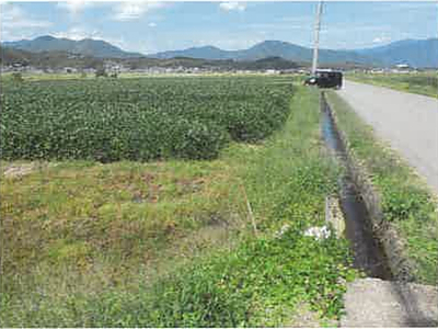 長野県上田市 舞田駅12分 農地 52万円の競売物件情報 #1