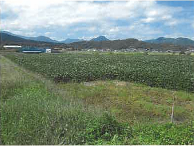 長野県上田市 舞田駅12分 農地 52万円の競売物件情報 #2