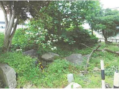 北海道旭川市 緑が丘駅 戸建て 279万円の競売物件情報 #22