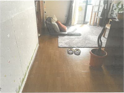 栃木県佐野市 堀米駅11分 戸建て 1,607万円の競売物件情報 #12