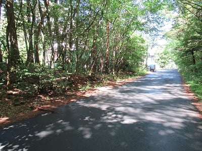 (値下げ) 山梨県南都留郡鳴沢村 河口湖駅 土地 22万円の官公庁公売物件情報 #3