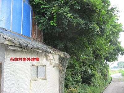 (値下げ) 兵庫県洲本市 土地 350万円の官公庁公売物件情報 #8