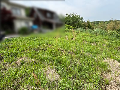 (値下げ) 兵庫県洲本市 土地 30万円の官公庁公売物件情報 #3