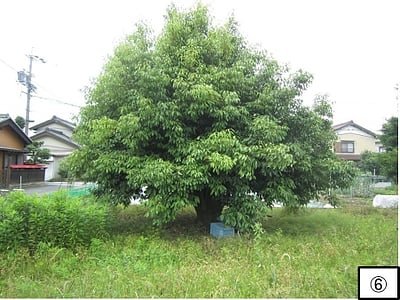 (値下げ) 愛知県一宮市 江南駅 土地 318万円の官公庁公売物件情報 #6