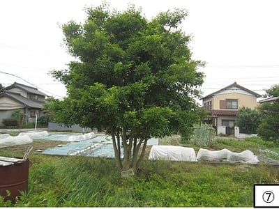 (値下げ) 愛知県一宮市 江南駅 土地 318万円の官公庁公売物件情報 #7