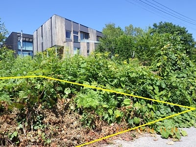 北海道虻田郡倶知安町 比羅夫駅25分 土地 1,846万円の官公庁公売物件情報 #2