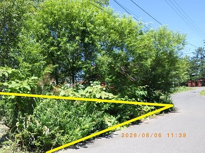 北海道虻田郡倶知安町 比羅夫駅19分 土地 3,080万円の官公庁公売物件情報 #1