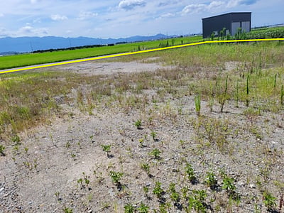 愛媛県西条市 石鎚山駅16分 農地 40万円の官公庁公売物件情報 #5
