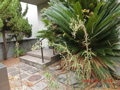 岡山県岡山市南区 備前西市駅 戸建て 420万円の官公庁公売物件情報 #2