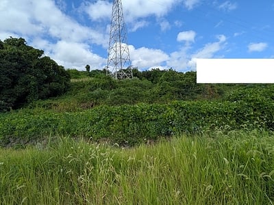 大分県臼杵市 熊崎駅4分 土地 727万円の官公庁公売物件情報 #2
