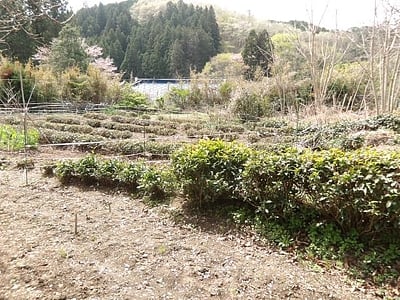 (値下げ) 茨城県久慈郡大子町 下野宮駅 土地 85万円の官公庁公売物件情報 #18