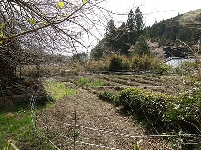 (値下げ) 茨城県久慈郡大子町 下野宮駅 土地 85万円の官公庁公売物件情報 #19