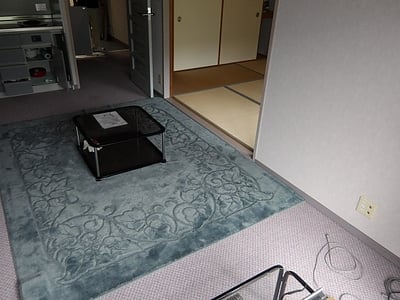 新潟県南魚沼郡湯沢町 マンション「西武ヴィラ苗場クリスタル」38万円の官公庁公売物件情報 #10