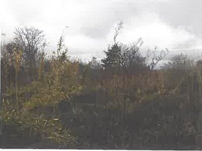 北海道茅部郡森町 掛澗駅9分 土地 3万円の競売物件情報 #1