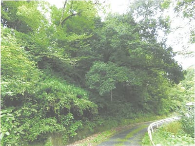 茨城県常陸大宮市 西金駅 土地 44万円の競売物件情報 #7