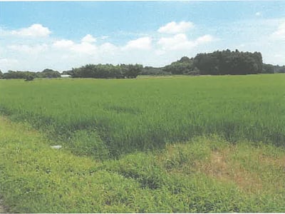 茨城県水戸市 内原駅26分 農地 112万円の競売物件情報 #2