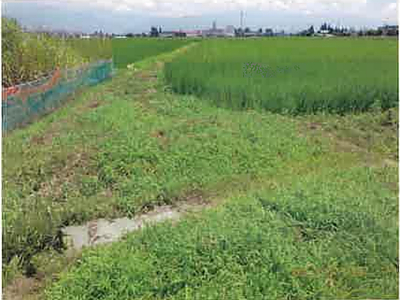 (値下げ) 長野県安曇野市 一日市場駅25分 農地 50万円の競売物件情報 #10