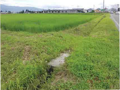 (値下げ) 長野県安曇野市 一日市場駅25分 農地 50万円の競売物件情報 #11