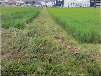 (値下げ) 長野県安曇野市 一日市場駅25分 農地 50万円の競売物件情報 #4