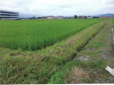 (値下げ) 長野県安曇野市 一日市場駅25分 農地 50万円の競売物件情報 #5