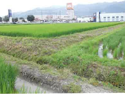 (値下げ) 長野県安曇野市 一日市場駅25分 農地 50万円の競売物件情報 #6