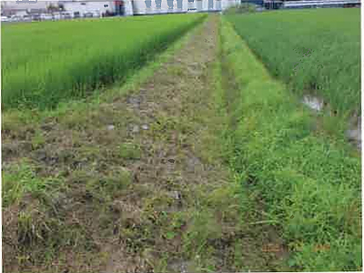 (値下げ) 長野県安曇野市 一日市場駅25分 農地 50万円の競売物件情報 #8
