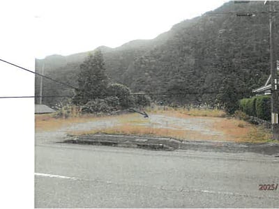 奈良県吉野郡十津川村 土地 173万円の競売物件情報 #1