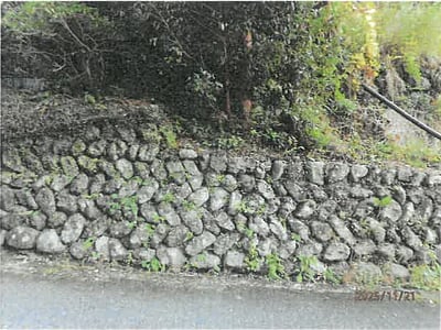 奈良県吉野郡十津川村 土地 173万円の競売物件情報 #3