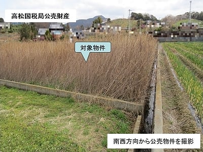 (値下げ) 香川県丸亀市 栗熊駅 農地 34万円の国税庁公売物件情報 #2