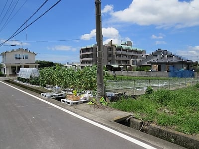 愛媛県松山市 北伊予駅 農地 103万円の国税庁公売物件情報 #2