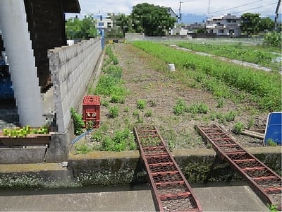 愛媛県松山市 北伊予駅 農地 103万円の国税庁公売物件情報 #4