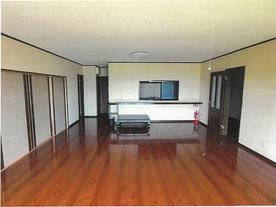 新潟県新潟市秋葉区 新関駅4分 戸建て 2億2,356万円の競売物件情報 #9
