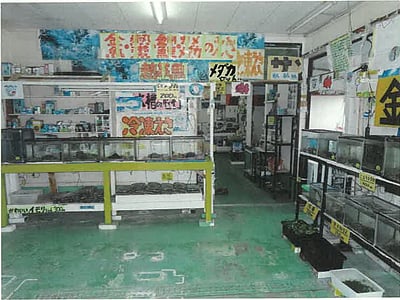 (値下げ) 新潟県新潟市南区 矢代田駅 戸建て 102万円の競売物件情報 #2