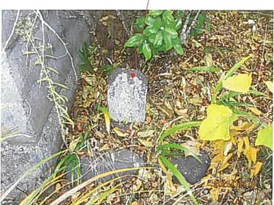 (値下げ) 静岡県御殿場市 御殿場駅 戸建て 382万円の競売物件情報 #14